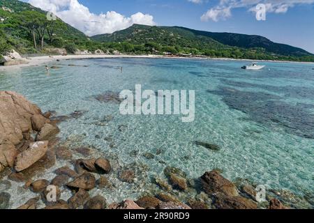 Plage de Palombaggia, Strand, spiaggia, Porto Vecchio, Corse-du-Sud, Korsika, Frankreich, Europa Foto Stock