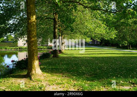 Il Parc des Capucins ("Parco Capuchin") è un giardino pubblico della città di Coulommiers, nella regione di Brie, nel dipartimento francese di Seine et Marne, in francese Foto Stock