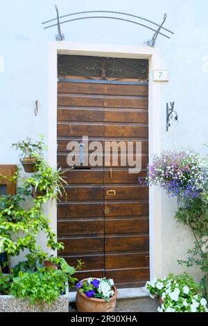 Bellissima antica porta in legno marrone che attraversa la parete blu da vicino coperta da diverse piante in vasi. Facciata esterna dell'edificio Foto Stock