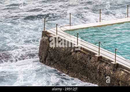 La piscina Bondi Iceberg a Bondi Beach, Sydney Australia. Foto Stock