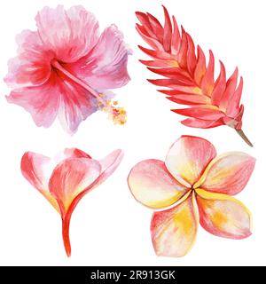 Splendidi fiori tropicali su sfondo bianco. Brillante illustrazione ad acquerello per vari disegni, biglietti, inviti, tessuti. Foto Stock