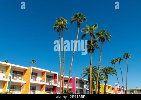 Hotel Saguaro, palme e architettura colorata a Palm Springs, California Foto Stock