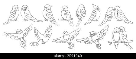 Set lineare per doodle tropicali di pappagallo. Estate, selvaggia ed esotica collezione di uccelli volanti e seduti. Selvaggia giungla hawaiana graziosi pappagalli, divertente e grazioso paracadute Illustrazione Vettoriale