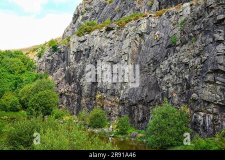 Rock Climber, Bram Crag Quarry, English Lake District, Cumbria, in giugno, tempo estivo Foto Stock