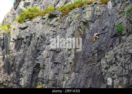 Rock Climber, Bram Crag Quarry, English Lake District, Cumbria, in giugno, tempo estivo Foto Stock