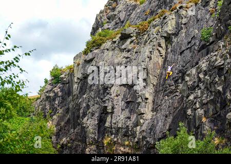 Rock Climber, Bram Crag Quarry, English Lake District, Cumbria, in giugno, tempo estivo Foto Stock