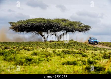 Naivasha, Kenya. 23 giugno 2023. ATTENZIONE REDATTORI - DISTRIBUIRE IMMAGINI - SOLO USO EDITORIALE - CREDITO OBBLIGATORIO M-SPORT distribuisce immagini pubblicate venerdì 23 giugno 2023, a cura di M-SPORT mostra Gregoire Munster e Louis Louka in azione durante la gara Safari Rally in Kenya. *** Belga e Belga Editorial Board declinano ogni responsabilità per quanto riguarda il contenuto di questa immagine. *** BELGA PHOTO HAND OUT M-SPORT Credit: Belga News Agency/Alamy Live News Foto Stock