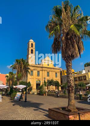 Un maestoso albero di palma sorge sullo sfondo di edifici a Chania, Creta, Grecia Foto Stock