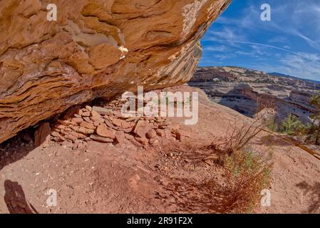 Le antiche rovine vicino al ponte Sipapu si affacciano sul Natural Bridges National Monument, Utah. La parola Sipapu è Hopi che significa porta dell'anima, quindi la r Foto Stock