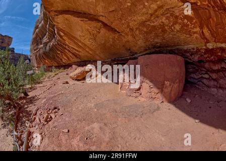 Le rovine di Horse Collar si trovano tra il Sipapu Arch Bridge e il Kachina Arch Bridge presso il Natural Bridges National Monument Utah. Foto Stock