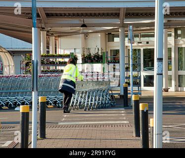 il lavoratore raccoglie e spinge i carrelli per lo shopping in negozio Foto Stock