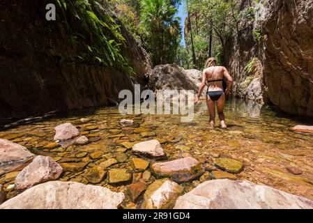 Una donna in bikini si raffredda nelle rinfrescanti acque di un buco per nuotare nella gola di El Questro, nell'entroterra dell'Australia Occidentale Foto Stock