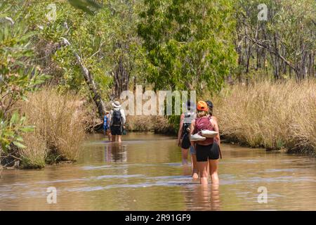 Un gruppo di turisti attraversa un percorso allagato per raggiungere un'attrazione turistica nell'Australia Occidentale Foto Stock