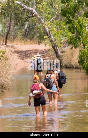 Un gruppo di turisti attraversa un percorso allagato per raggiungere un'attrazione turistica nell'Australia Occidentale Foto Stock