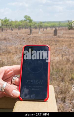 Una mano tiene un telefono cellulare per controllare la direzione dei tumuli di termite magnetici a Litchfield, territorio del Nord, Australia Foto Stock