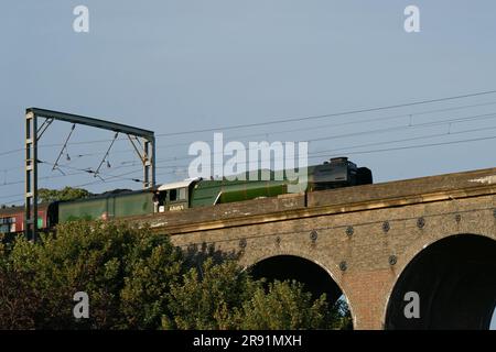 Welwyn, Regno Unito. 23 giugno 2023. Il treno Flying Scotsman viaggia per il suo viaggio di ritorno sul viadotto Digswell (noto anche come viadotto Welwyn) vicino a Welwyn North nell'Hertfordshire, Regno Unito. La East Coast Main Line passa sopra il Digswell Viaduct sopra il fiume Mimram. Il viadotto ha 40 archi ed è una struttura classificata di grado II che è stata aperta nel 1850. Il treno viaggiava oggi da Londra Kings Cross a Great Yarmouth e ritorno, come parte delle celebrazioni del centenario. Il treno entrò in servizio per la prima volta il 24 febbraio 1923. Andrew Steven Graham/Alamy Live News Foto Stock