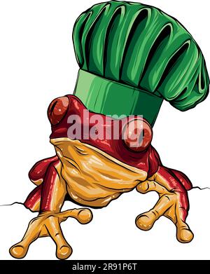 Illustrazione vettoriale della mascotte cartoon dello chef Frog Illustrazione Vettoriale