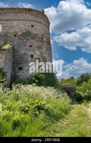 Antica porta medievale di Stephen Bathory in pietra. Fa parte del vecchio complesso fortificato della città del castello di Kamianets-Podilskyi, Ucraina. Foto Stock