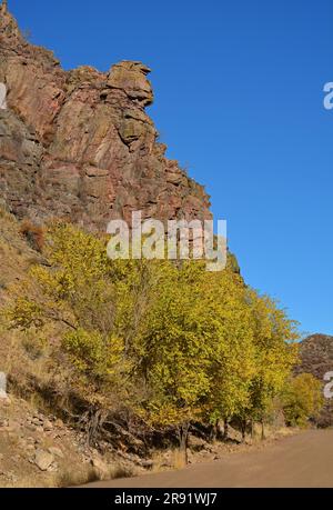 ripide pareti di canyon di granito e alberi di cottonwood mutevoli in una giornata di sole autunnale nel canyon di waterton a littleton, colorado Foto Stock