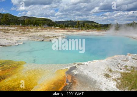 splendida piscina riscaldata con zaffiro nel bacino dei biscotti nel parco nazionale di yellowstone, wyoming Foto Stock