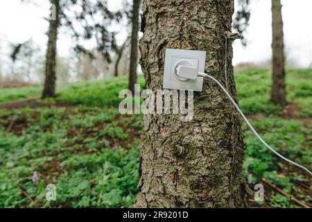 Presa elettrica con caricabatterie sul tronco dell'albero nella foresta Foto Stock