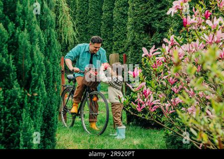 Padre che dona melograno a figlio dal cesto della bicicletta in giardino Foto Stock