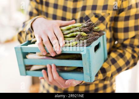 Uomo che porta un mucchio di asparagi in una cassa di legno Foto Stock