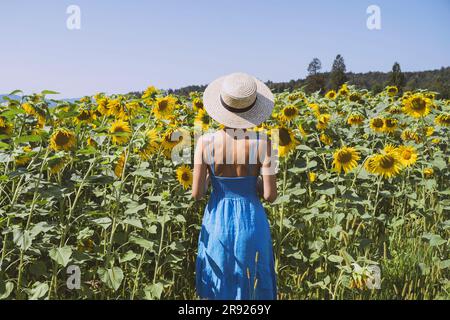 Donna che indossa un cappello in piedi in mezzo a un campo di girasoli Foto Stock