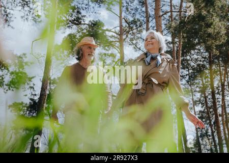 Coppia romantica che cammina davanti agli alberi nella foresta Foto Stock