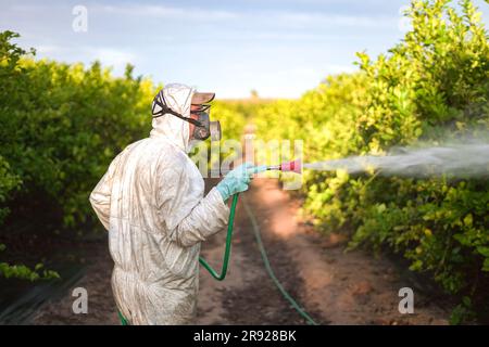 Lavoratore agricolo che indossa abiti protettivi che spruzzano pesticidi sugli alberi di limone all'alba Foto Stock