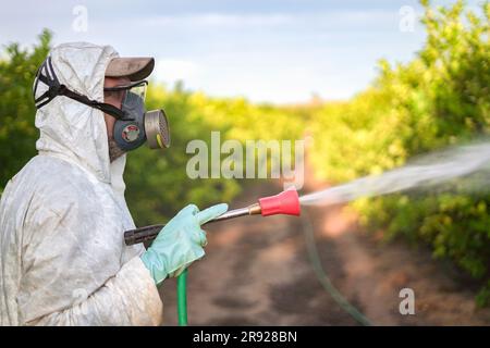 Lavoratore agricolo in tuta protettiva che spruzza pesticidi sugli alberi di limone Foto Stock