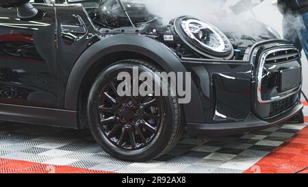 Vista laterale del processo di pulizia a vapore del motore nero dell'auto da polvere e sporcizia. Concetto di dettaglio dell'auto. Foto di alta qualità Foto Stock