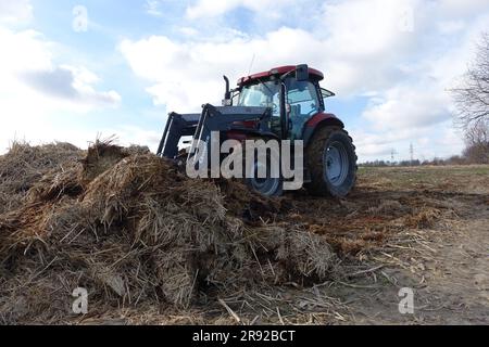 Letame e trattore in un campo, Germania, Renania settentrionale-Vestfalia Foto Stock