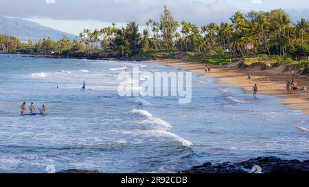 Spiaggia sabbiosa con palme da cocco, pochi turisti che si bagnano sulla spiaggia di sabbia dorata, USA, Hawaii, Maui, Kihei Foto Stock