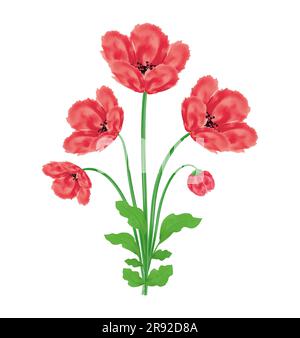 Bouquet di fiori di papavero elemento di disegno dell'acquerello illustrazione vettoriale per il giorno della memoria, giorno dell'Anzac isolato su sfondo bianco Illustrazione Vettoriale