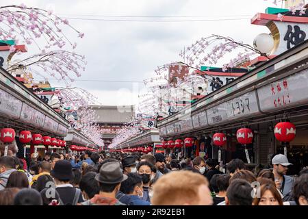 Quartiere di Asakusa Tokyo, negozi di strada Nakimese e gente che conduce al tempio Sensoji, il tempio più antico di Tokyo, Giappone, Asia, 2023 Foto Stock