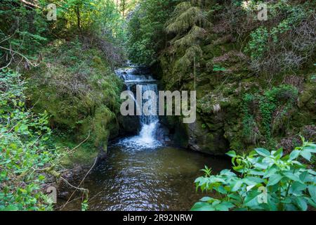 Geroldsauer Wasserfälle an der GroBbach a Baden-Baden im Schwarzwald Foto Stock