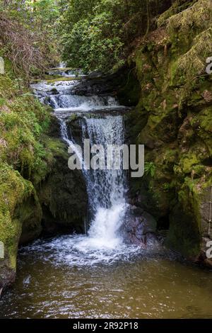 Geroldsauer Wasserfälle an der GroBbach a Baden-Baden im Schwarzwald Foto Stock