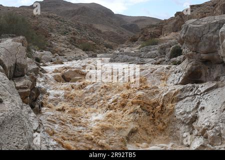 Flash flood, Wadi Tzeelim, deserto del Negev, Israele Foto Stock