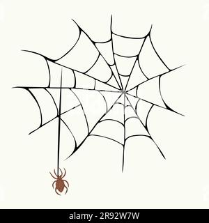Illustrazione vettoriale di un ragno disegnato a mano e di una ragnatela. Illustrazione Vettoriale