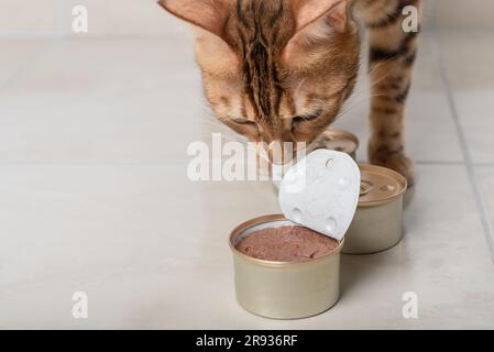 Il gatto sta guardando una lattina di cibo aperta. Messa a fuoco selettiva. Foto Stock