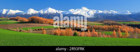 Hilly Land e Mt. Tokachi in autunno Foto Stock