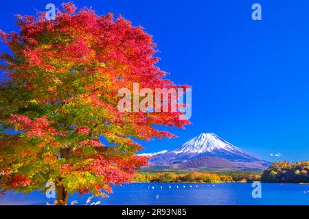 Foglie autunnali al lago Shojin e al monte Foto Stock