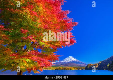 Foglie autunnali al lago Shojin e al monte Foto Stock