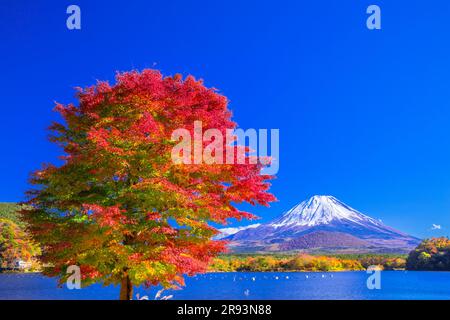 Foglie autunnali al lago Shojin e al monte Foto Stock