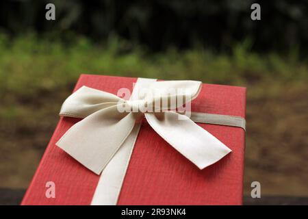 Vari scatti di confezioni regalo con luce solare sul prato del parco in una giornata di sole estiva Foto Stock