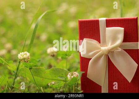 Vari scatti di confezioni regalo con luce solare sul prato del parco in una giornata di sole estiva Foto Stock