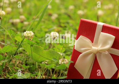 Vari scatti di confezioni regalo con luce solare sul prato del parco in una giornata di sole estiva Foto Stock