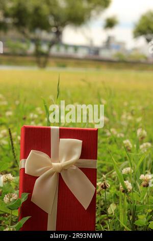 Vari scatti di confezioni regalo con luce solare sul prato del parco in una giornata di sole estiva Foto Stock