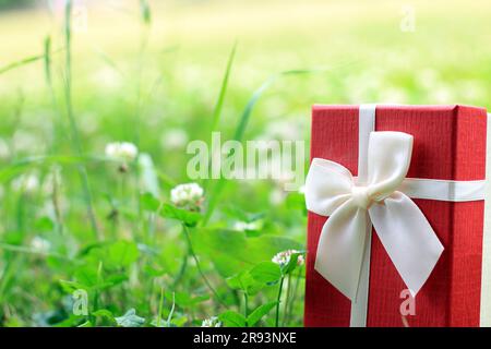 Vari scatti di confezioni regalo con luce solare sul prato del parco in una giornata di sole estiva Foto Stock